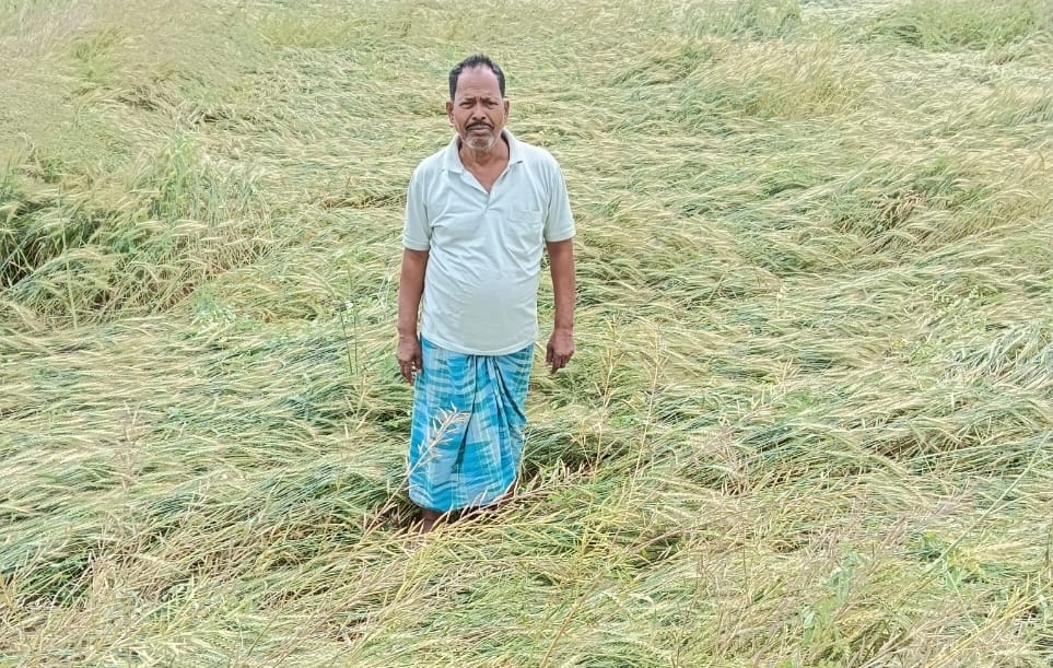 तेज आंधी पानी से हजारों किसानों का फसल हुआ बर्बाद