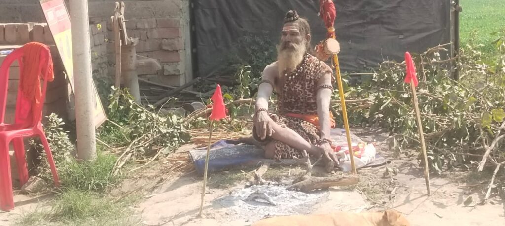 डुमरा मोहन गांव में गूंजा 'हर हर महादेव', सवा लाख पार्थिव शिवलिंग पूजन सम्पन्न