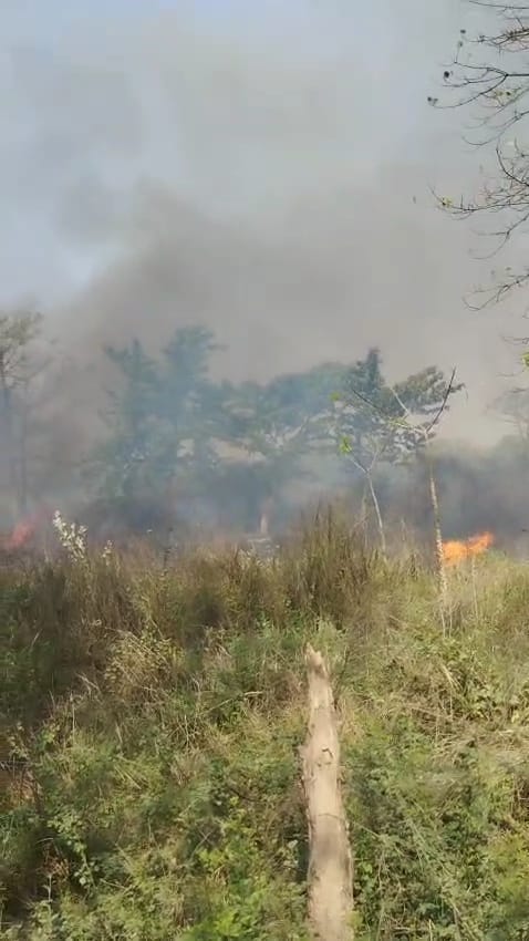 गनौली गांव के जंगल में भीषण आग, ग्रामीणों के सामूहिक प्रयास से काबू; देसी शराब निर्माण की सामग्री मिली