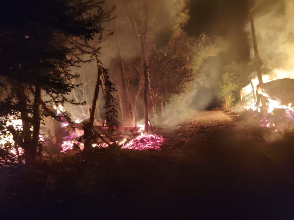 श्यामपुर थाही में भीषण आगलगी, फूस का घर जलकर राख, आठ बकरियों की मौत