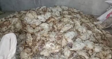 जनरेटर खराब होने से मुर्गी फार्म को 20 लाख का झटका, किसान ने कंपनी के खिलाफ दायर की शिकायत जनरेटर खराब होने से मुर्गी फार्म को 20 लाख का झटका, किसान ने कंपनी के खिलाफ दायर की शिकायत