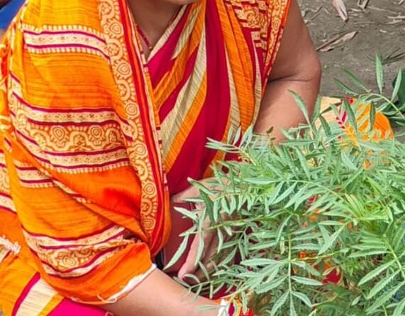 रोसड़ा में दर्दनाक सड़क हादसा, इलाज कराने जा रही शिक्षिका की मौत, गांव में पसरा मातम