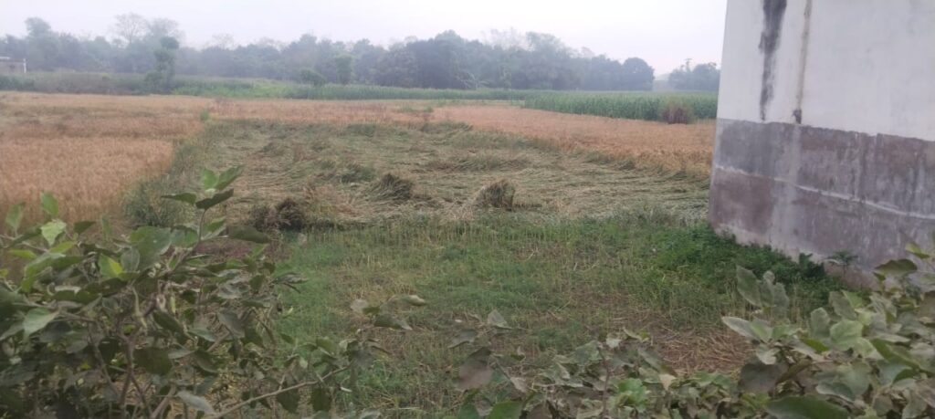 ओलावृष्टि से तबाह रबी फसल: किसानों ने मुआवजे की मांग को लेकर सौंपा ज्ञापन